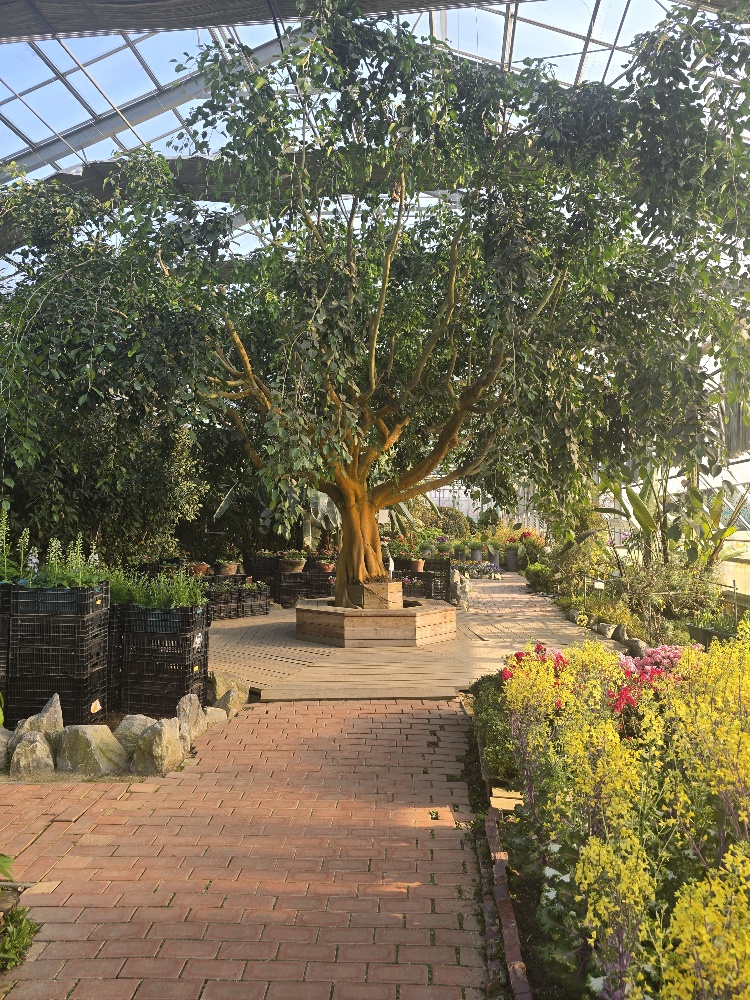 세계꽃식물원(LIAF)