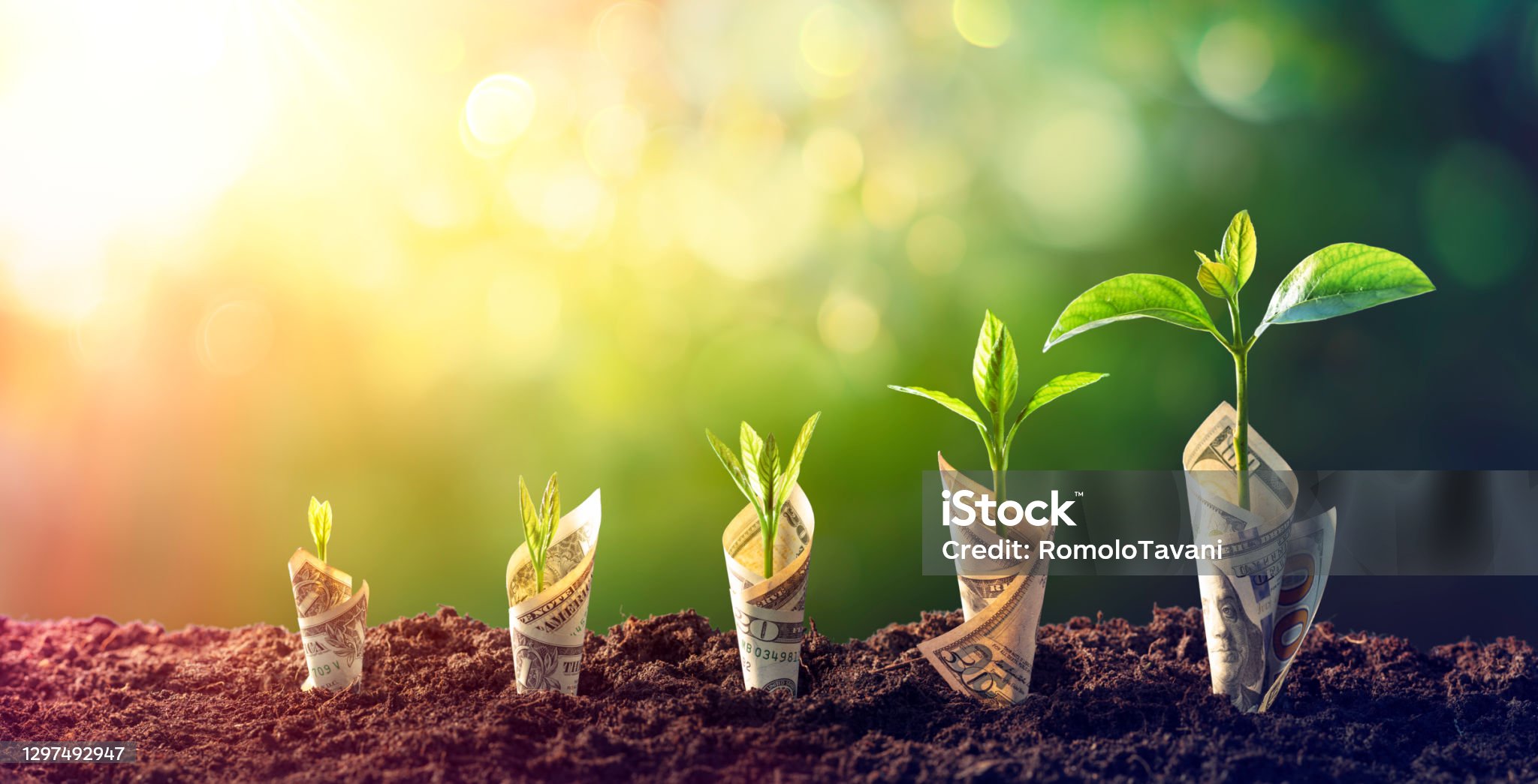 충동 구매를 막는 7가지 실천법