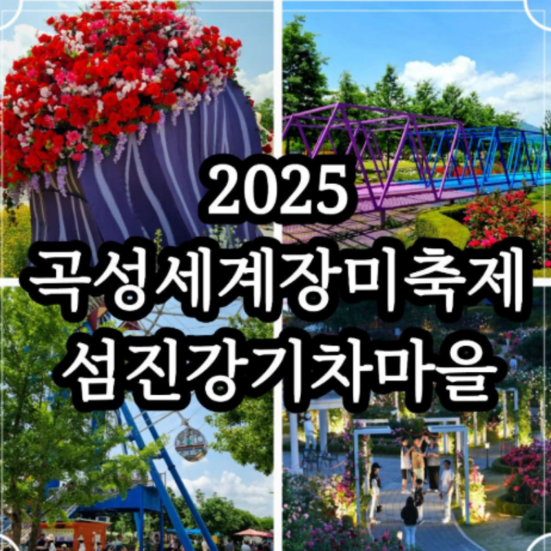 5월의 꽃, 곡성 장미꽃 축제