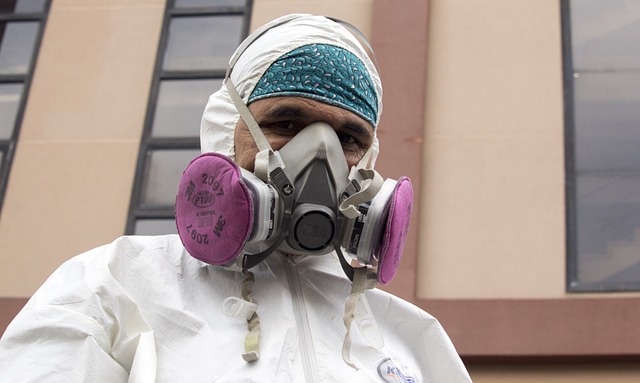 해충 박멸 업체