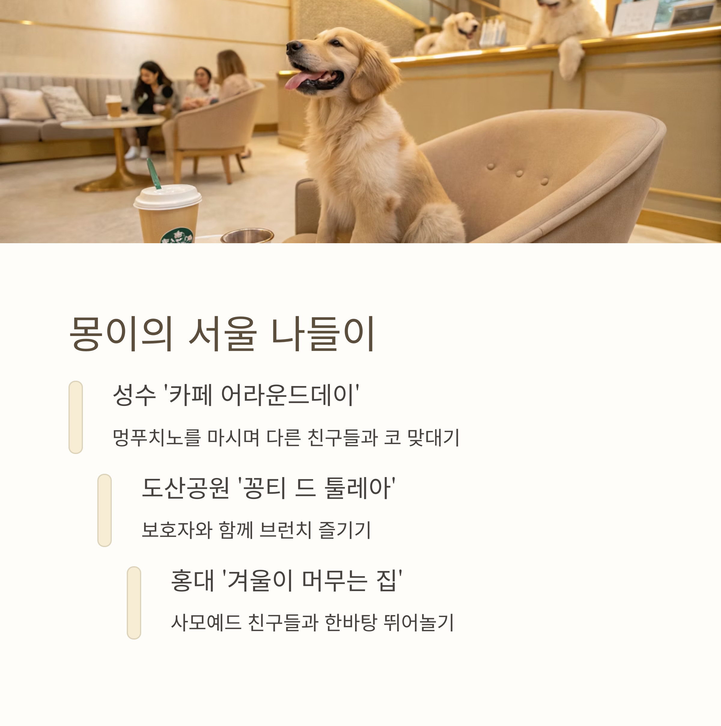 몽이의 서울 나들이