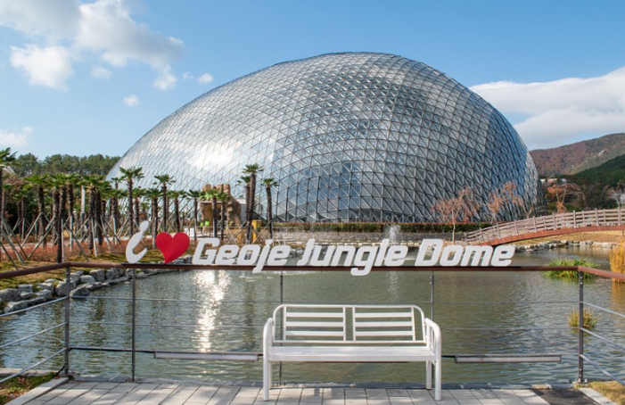 정글돔 식물원: 사계절 내내 푸른 생명의 에너지