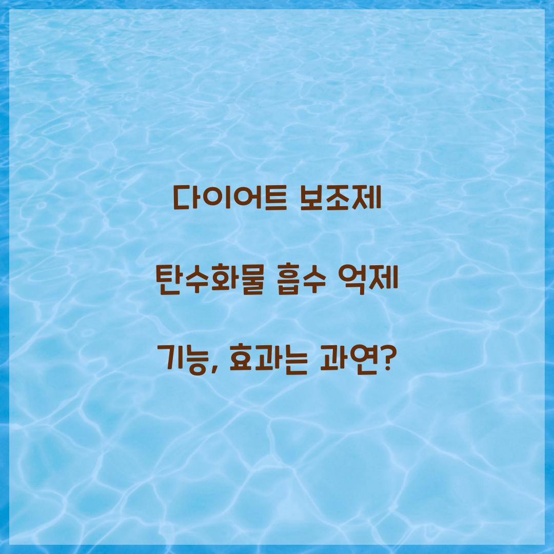 다이어트 보조제 탄수화물 흡수 억제 기능