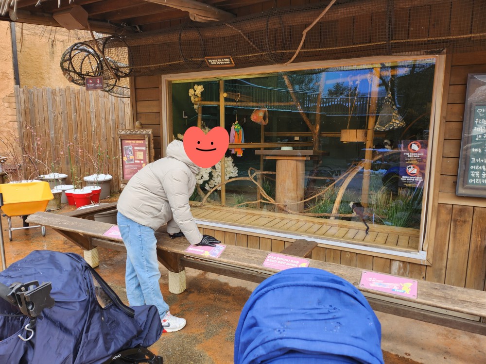 원숭이를 보는 가족