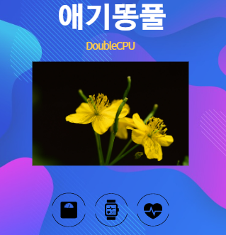 애기똥풀 알아보기