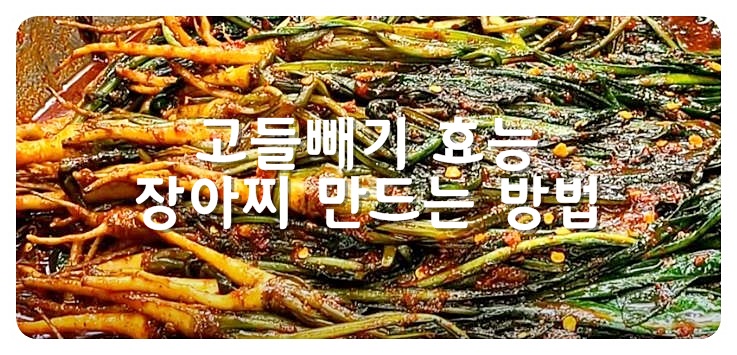 고들빼기 효능, 장아찌 만드는 방법