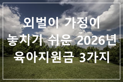 외벌이 가정이 놓치기 쉬운 2026년 육아지원금 3가지