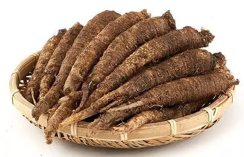 제철 더덕 사진