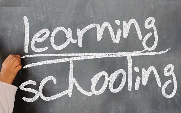 대학생을 위한 취업 전략 관련 사진