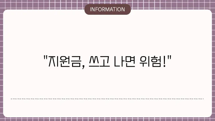 소상공인 지원금 환수: 지원금 사용 주의사항