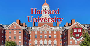 하버드