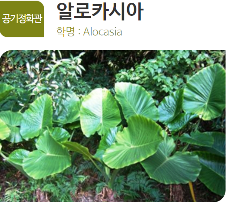 아산 생태곤충원