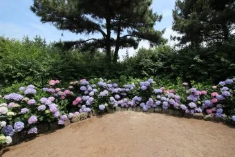 7월 국내 가족여행지 추천 베스트 코스 완벽 가이드_22