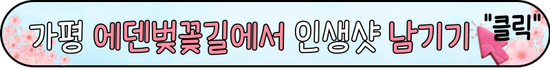 광주 화담숲 축제 예약