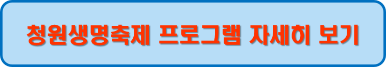 축제 프로그램 자세히 보기