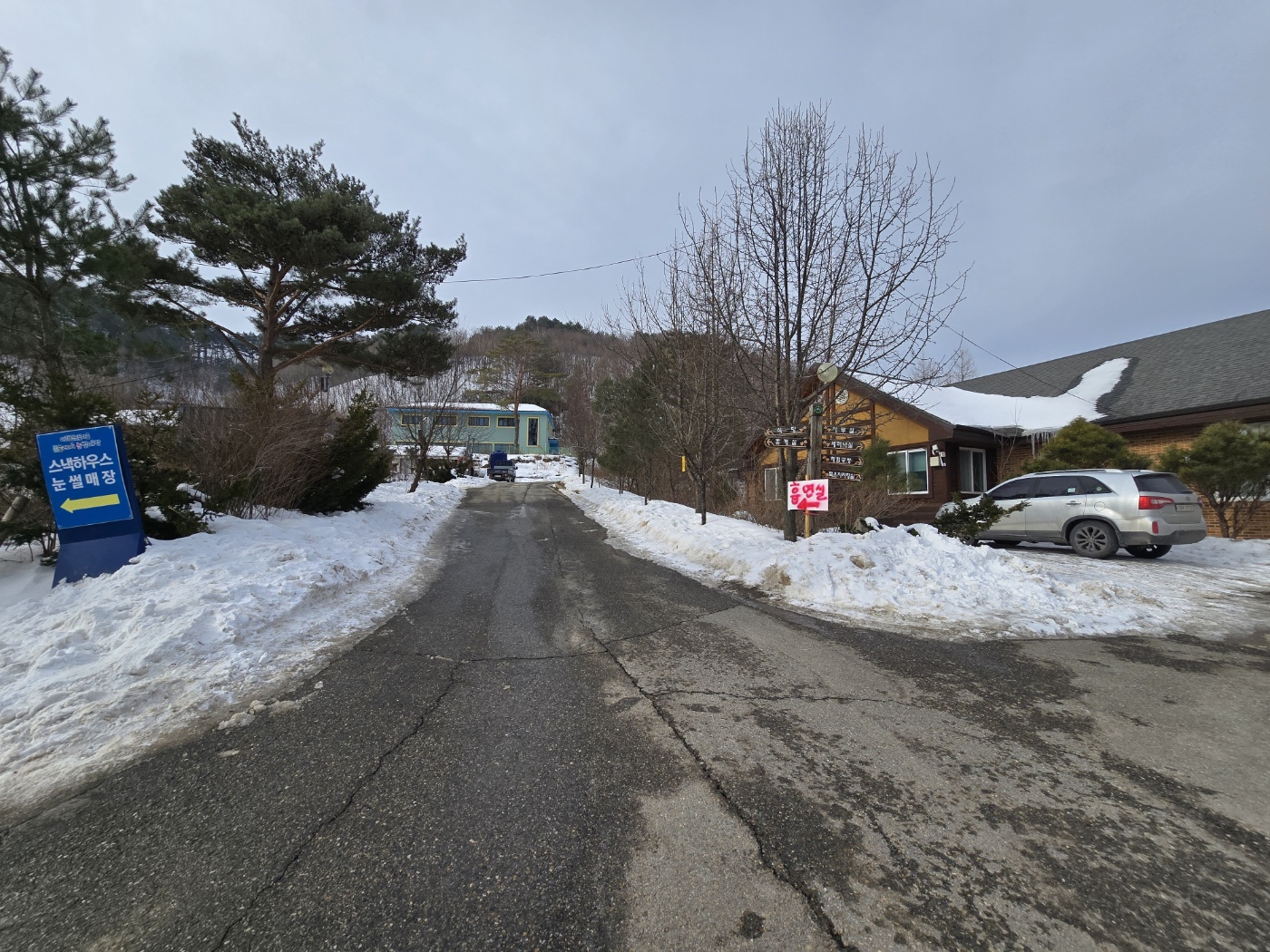 눈썰매장 올라가는 길