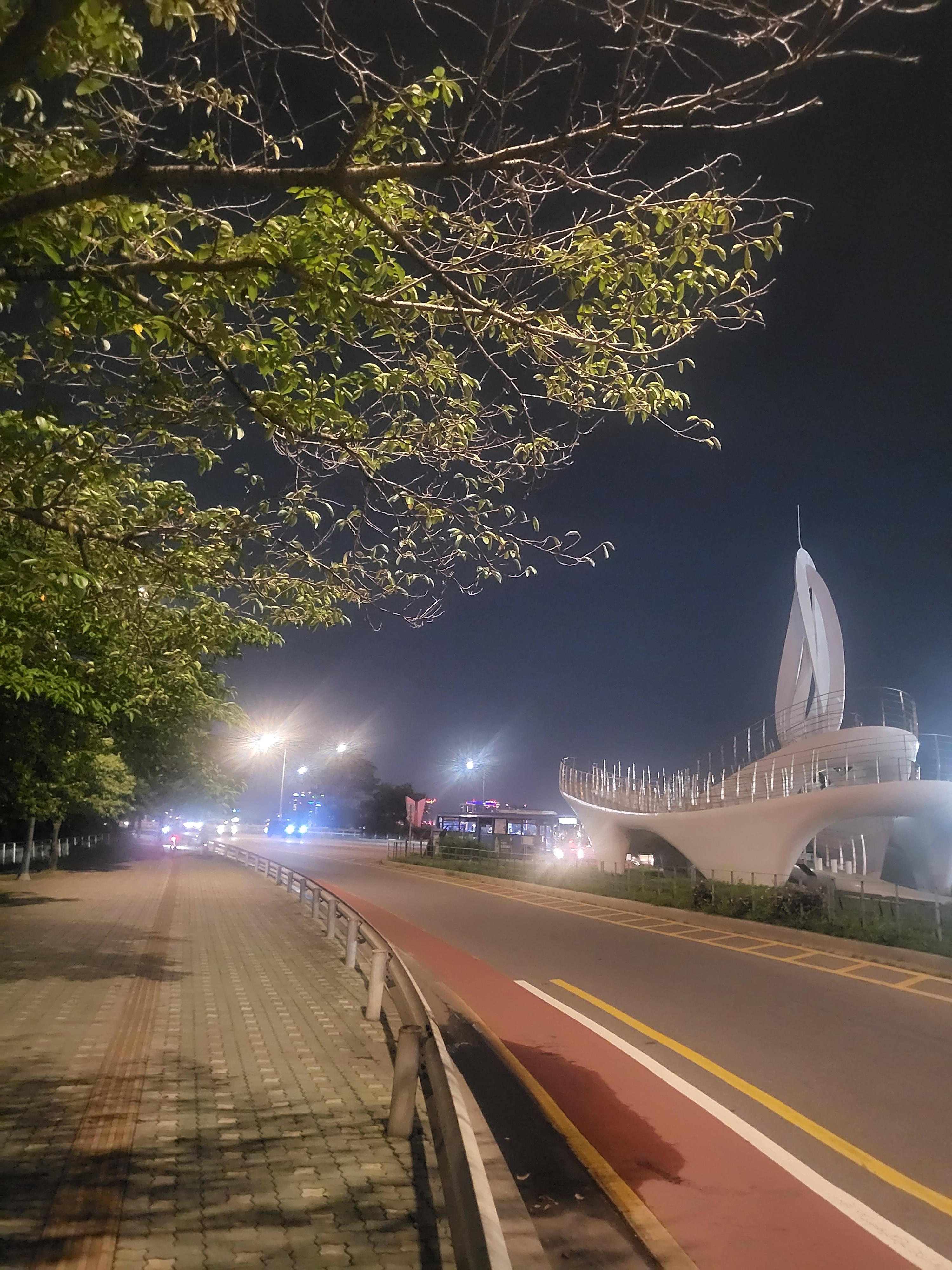 bridge3