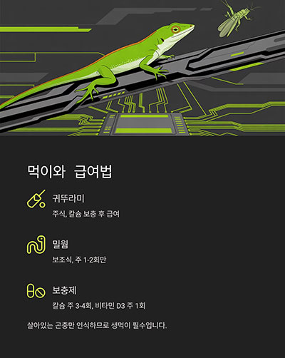 먹이와 급여법