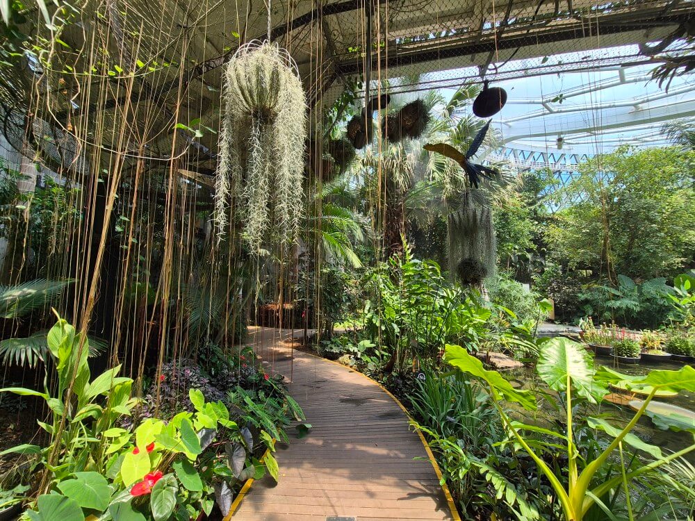 식물원 관련 사진2