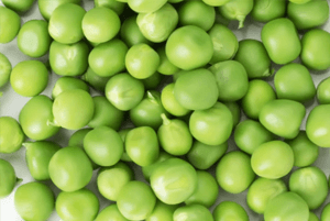 완두콩 효능09