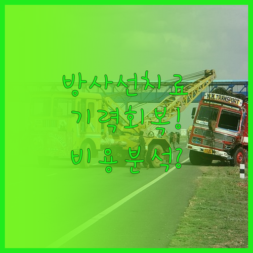 방사선 치료 중 기력 회복을 돕는 요..