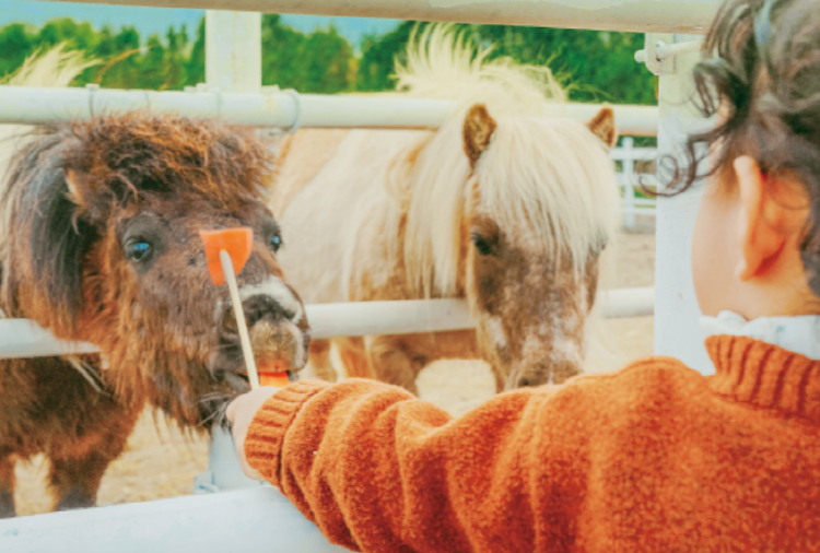 제주 에코랜드 테마파크