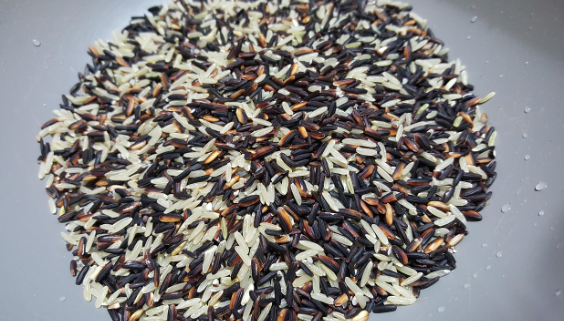 잡곡을 장기 보관할 때 곡물별로 달라지는 관리법