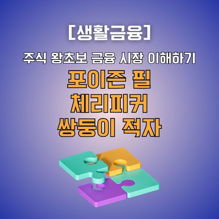 금융시장/이해하기/포이즌/필/체리피커/쌍둥이/적자