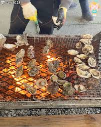 6시내고향 사천 굴구이 순애민박 위치 예약 꿀팁 대공개