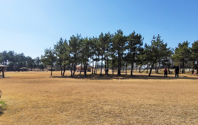 전라남도 영암 시종마한파크골프장 소개