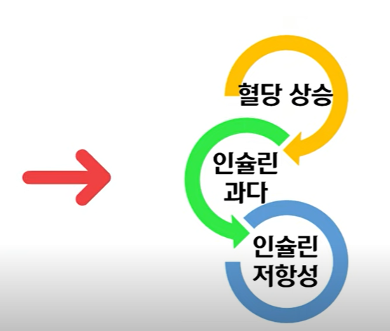 인슐린저항성