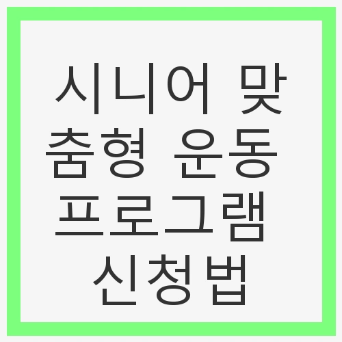 시니어 맞춤형 운동 프로그램