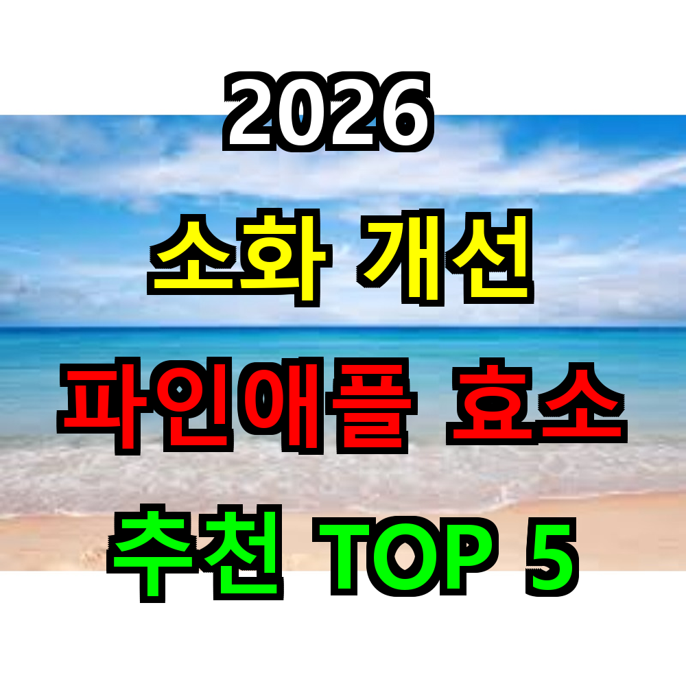 2026 소화개선 파인애플 효소 추천 TOP 5