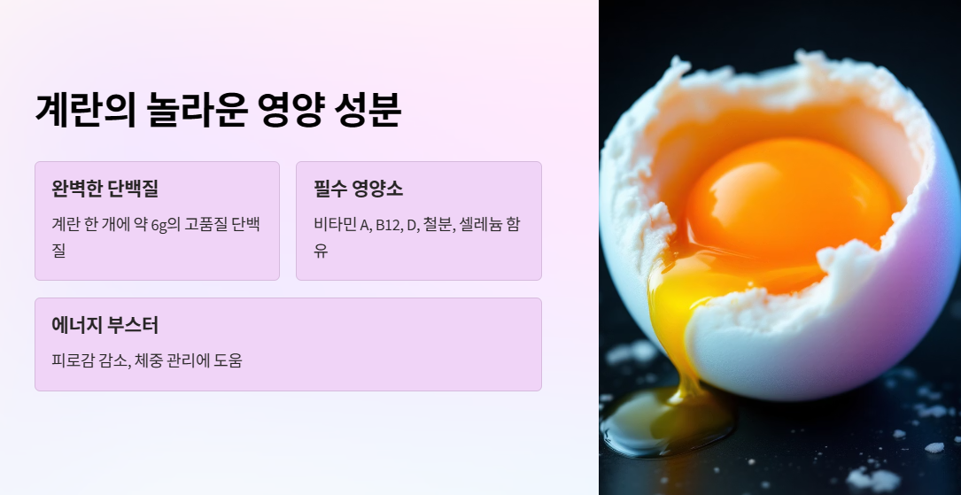 계란의 놀라운 영양 성분