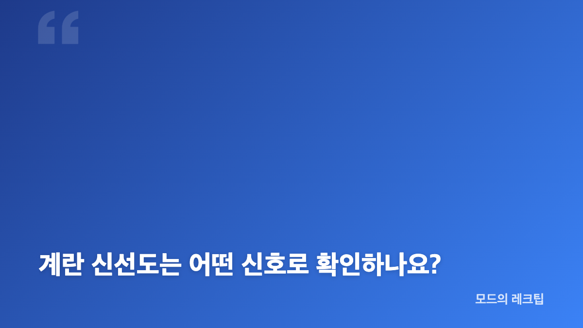 계란 유통기한과 소비기한 차이, 무엇을 먼저 볼까요?