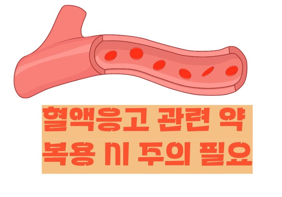 낫또의 효능 부작용