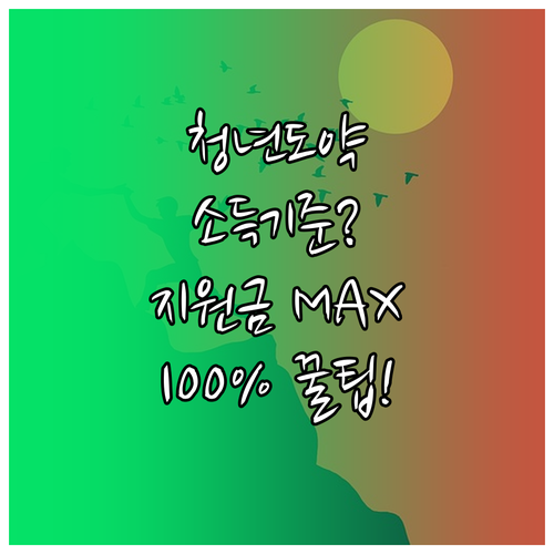 청년도약계좌 가입 심층 분석: 소득 ..