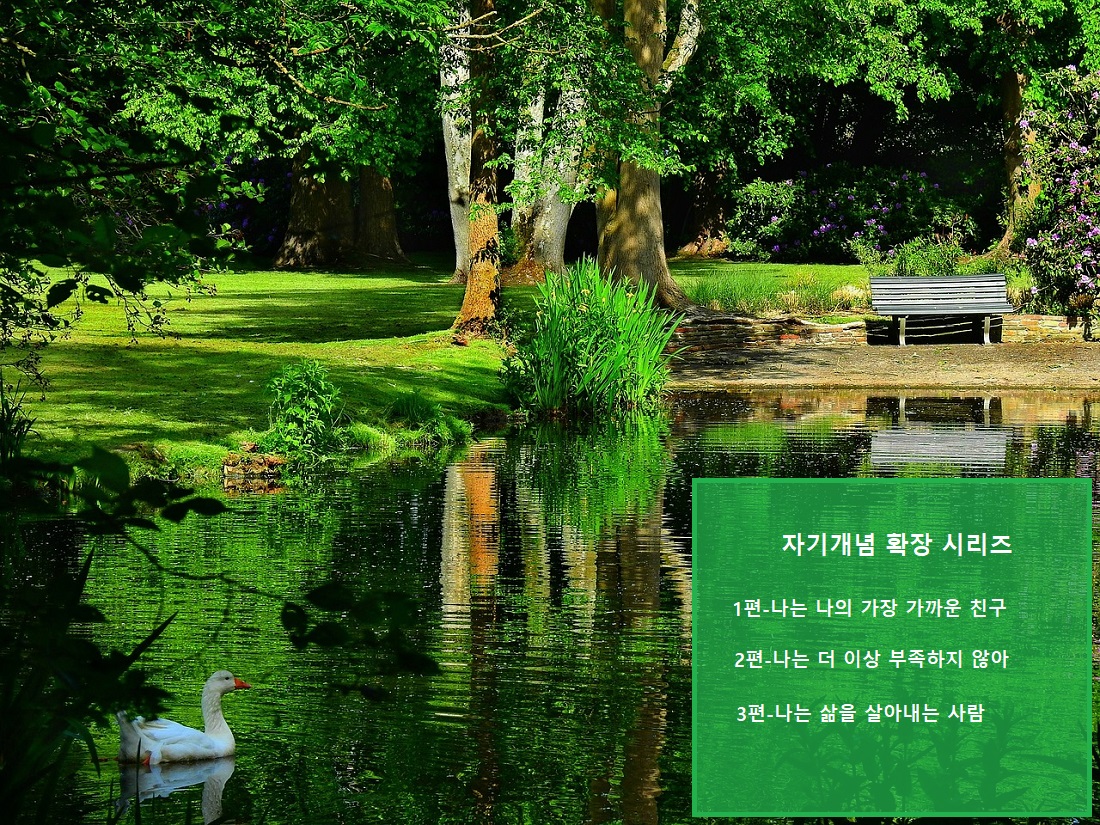 나는 삶을 살아내는 사람, 자기개념 확장 시리즈 3편