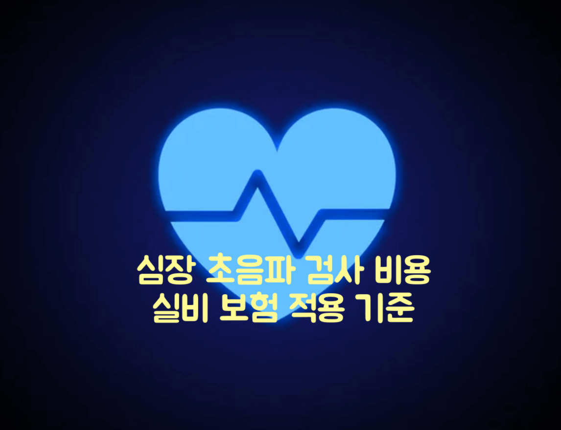 심장 초음파 검사 비용