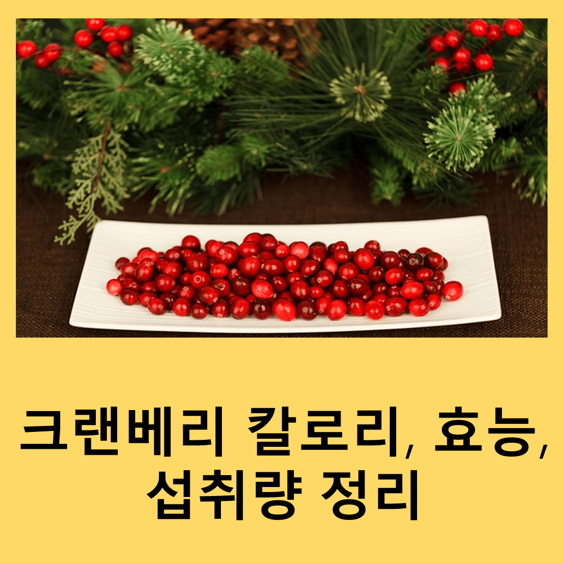 크랜베리
