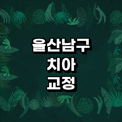 울산 남구 교정 치과