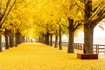 2023 단풍여행 시기 지역별 명소