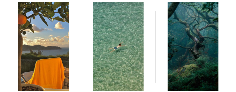 아쿠아디파르마-본조르노-카디퓨저-향설명