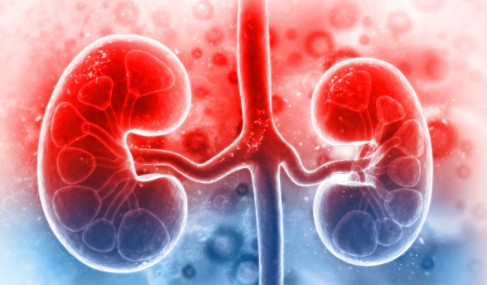 만성신부전 증상 및 만성신부전 원인