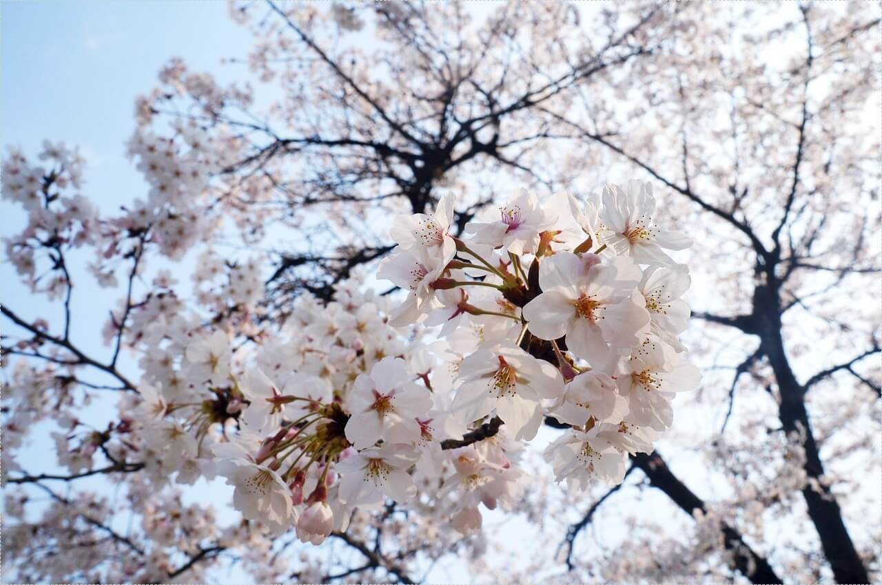 저축은행 정기예금 금리비교