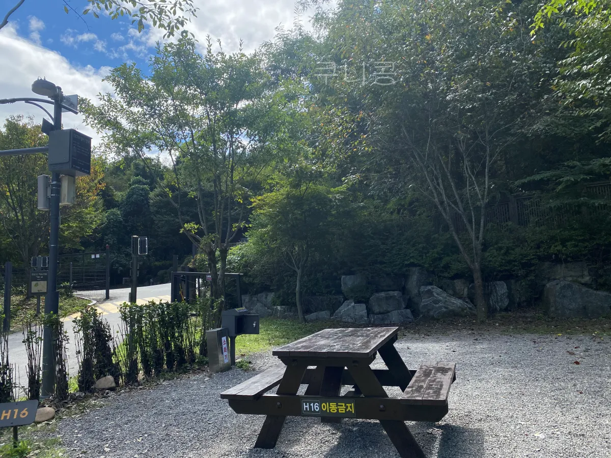 서울근교-당일캠핑-피크닉-가능한-초안산캠핑장-사이트-총정리(주차,통로위치-등)