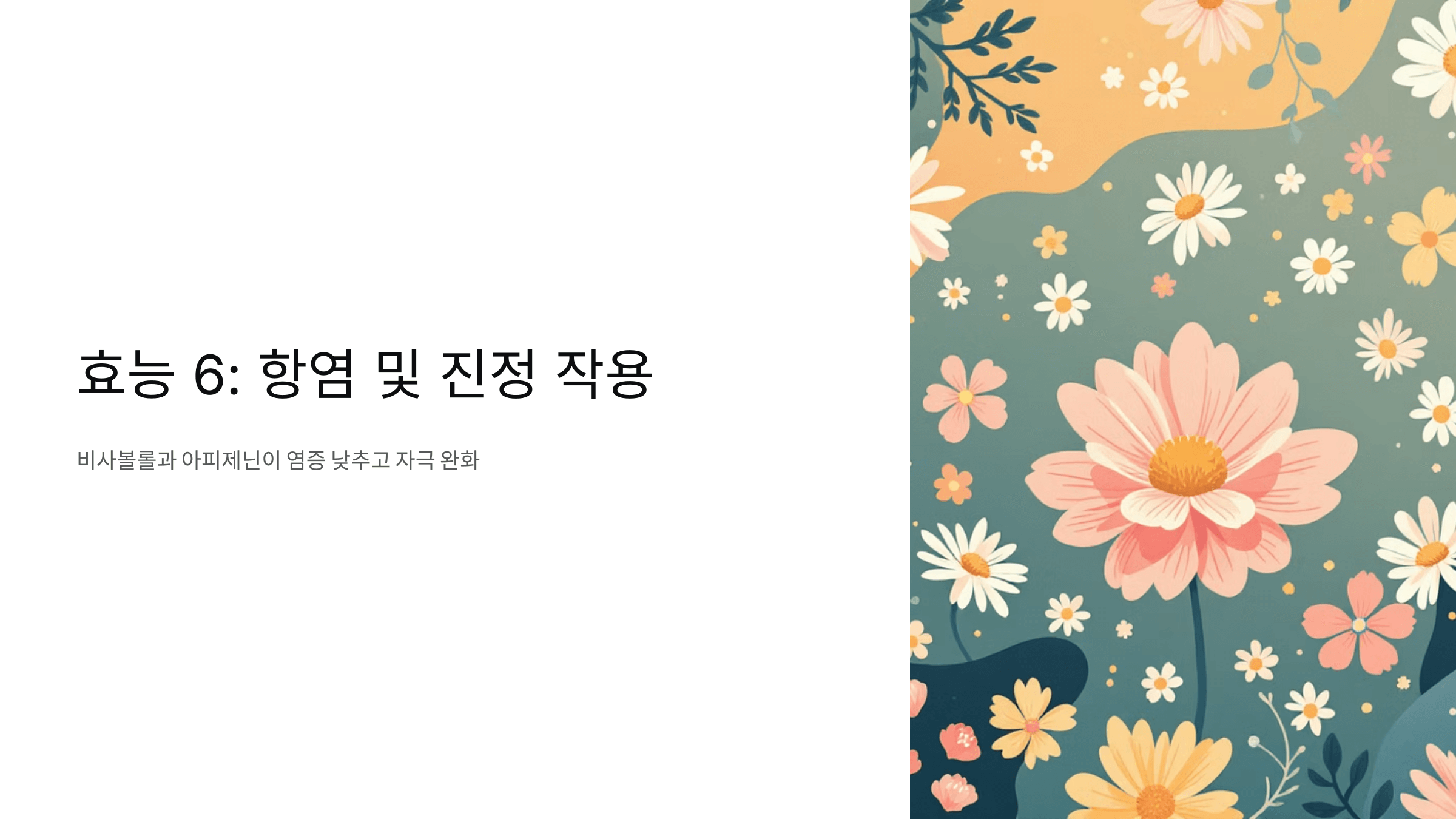 캐모마일차 사진입니다.