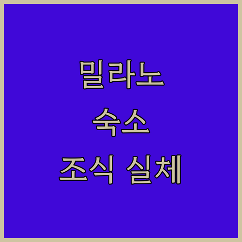 이탈리아 밀라노 여행 숙소 위치별 특..