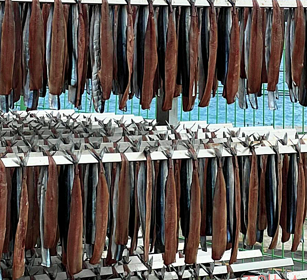 과메기 종류, 대과메기_독도사랑생방송판매자유튜브