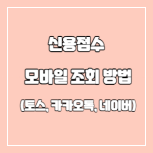 신용점수-조회-썸네일